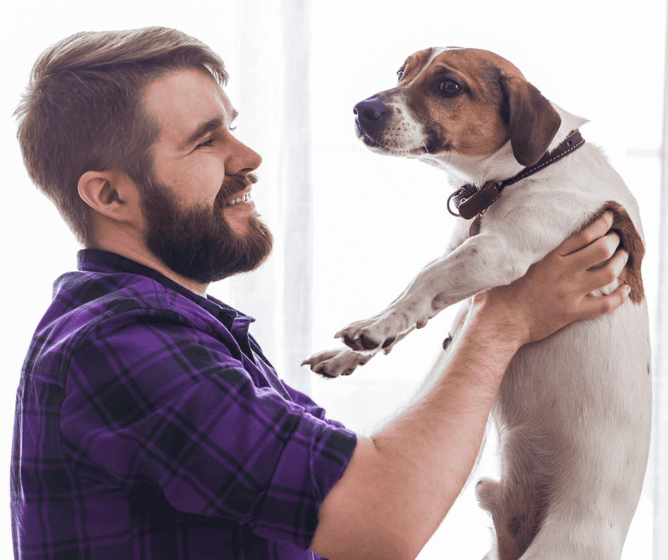 Moving Pets in Oldham Stress-Free: Tips and Advice Moving Pets in Oldham